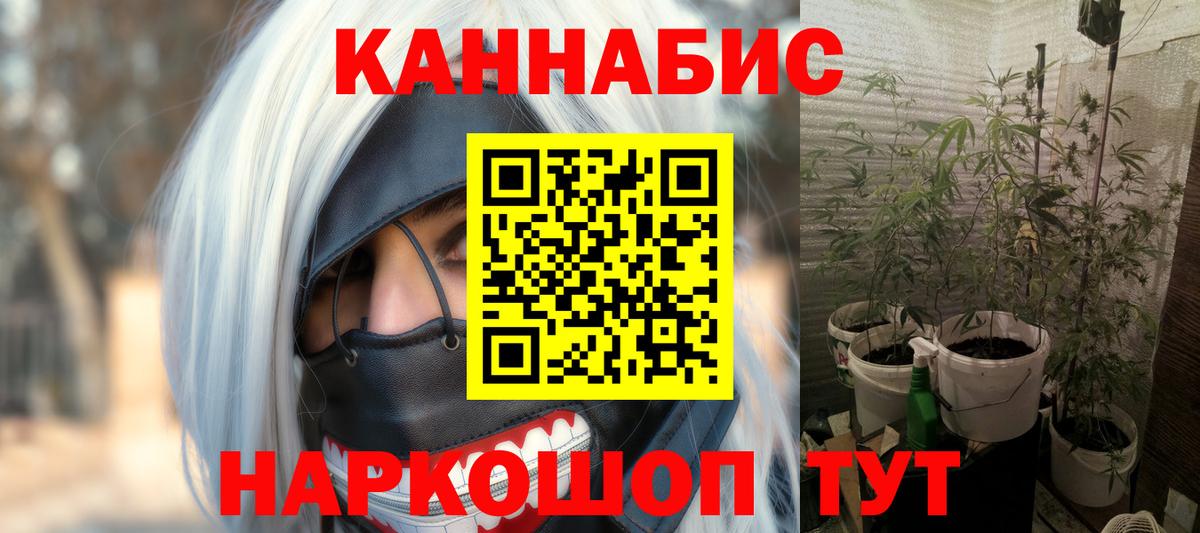Хасавюрт  Бошки марихуана план  Шишки марихуана SATIVA & INDICA  Шишки марихуана OG Kush  Вход с VPN  Марихуана SATIVA & INDICA 